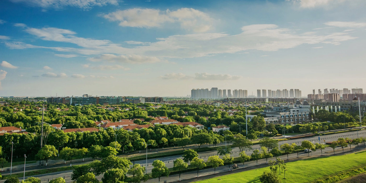 Tree-lined roads and new towers in Dholera SIR